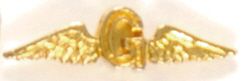 Goldwater Wings