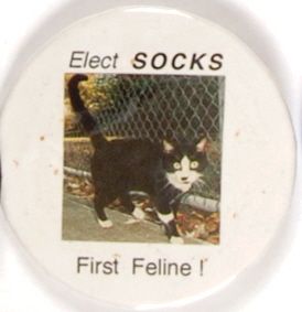 Socks First Feline
