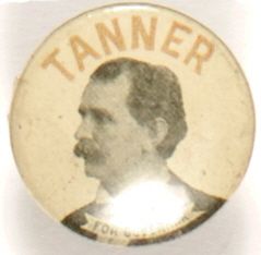 Tanner for Governor, Illinois