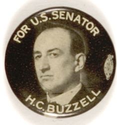Buzzell for Senator, Maine