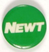 Newt Gingrich 1974