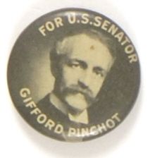 Gifford Pinchot, Pennsylvania 