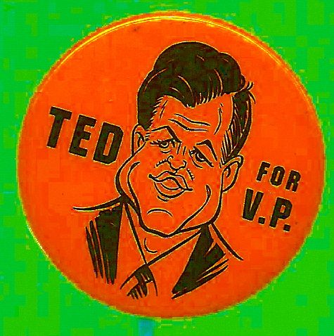 Ted Kennedy for Vice President