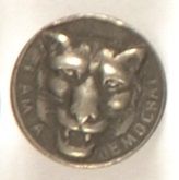 Tammany Hall Tiger Stud