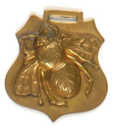 McKinley Gold Bug Fob