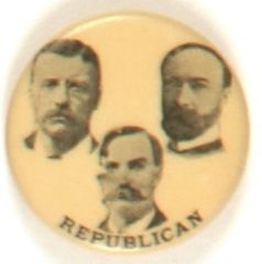 Roosevelt Michigan Coattail