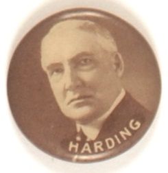 Harding Scarce Picture Pin