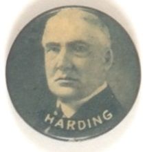 Harding Unusual Picture Pin