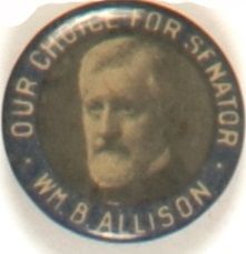 Allison for Senator, Iowa