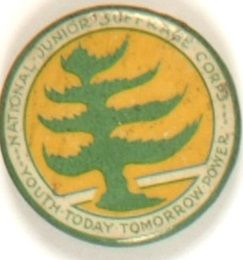 National Junior Suffrage Corps