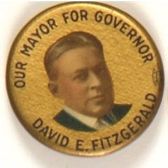 Fitzgerald for Governor, Connecticut