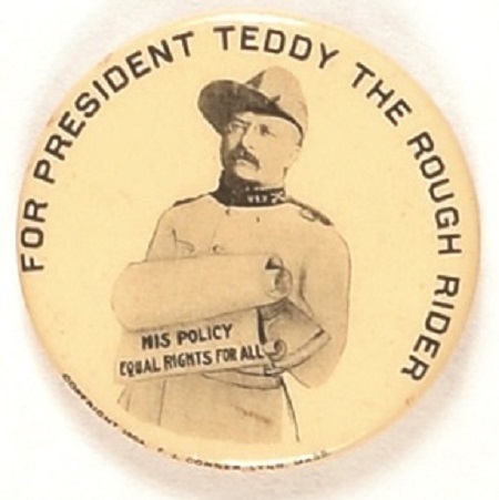 Teddy the Rough Rider