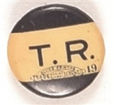 Theodore Roosevelt TR Pinback