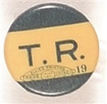 Theodore Roosevelt TR Celluloid Stud