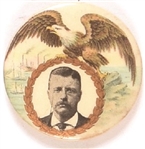 Theodore Roosevelt Eagle and Ships