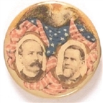 Parker, Davis Dramatic Eagle and Flag Jugate