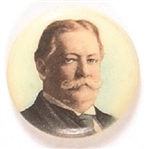 Taft Multicolor Celluloid