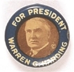 Harding Smaller Size Blue Border Celluloid