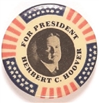 Hoover for President Stars and Stripes