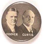 Hoover, Curtis Celluloid Jugate