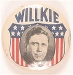 Willkie Classic Shield Celluloid