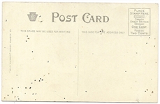 Roosevelt, Lion De-Lighted Postcard