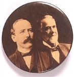 Parker, Davis Sepia Celluloid Jugate