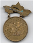 Wilson Victory Medal, Pin
