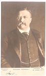 Theodore Roosevelt Portrait Postcard