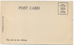 Theodore Roosevelt Portrait Postcard