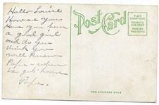 Roosevelt Lion Heads Home Safari Postcard