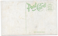 Roosevelt Safari Glad Tidings Postcard