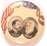 Woolley and Metcalf Prohibition Party Jugate
