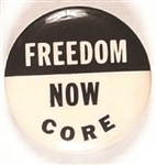 Freedom Now CORE Civil Rights Pin Smaller Letters