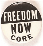 Freedom Now CORE Civil Rights Pin Smaller Letters