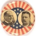 McKinley, Roosevelt Rare Stars and Stripes Jugate