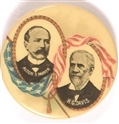 Parker, Davis Flag Celluloid