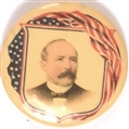 Alton Parker Flag Celluloid