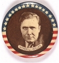 Willkie Stars and Stripes Celluloid