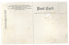 Wilson New Jersey Mosquito Postcard