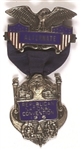 Hughes 1916 Alternate Delegate Badge