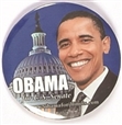 Obama for Senate Illinois Celluloid