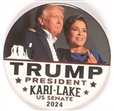 Trump, Lake Arizona Coattail