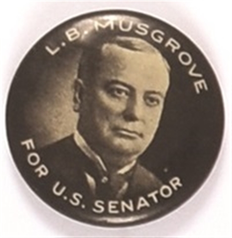 Musgrove for Governor of Arizona