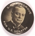 Musgrove for Governor of Arizona