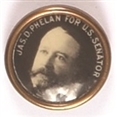 Phelan for Senator, California