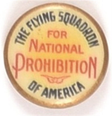 Flying Squadron for Prohibition