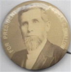 Rare Swallow for President Prohibition Party Pin
