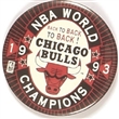 Chicago Bulls 1993 NBA Champions