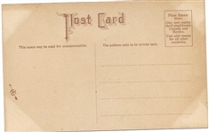Suffragette Vote Getting Postcard